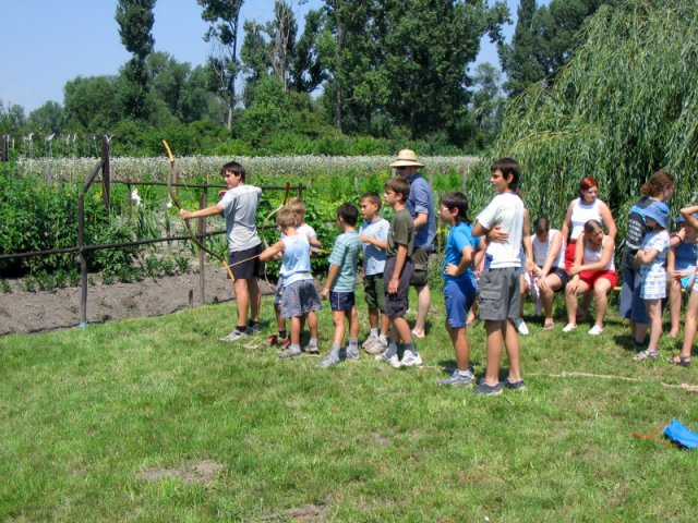 A 4. (2005. évi) tábor