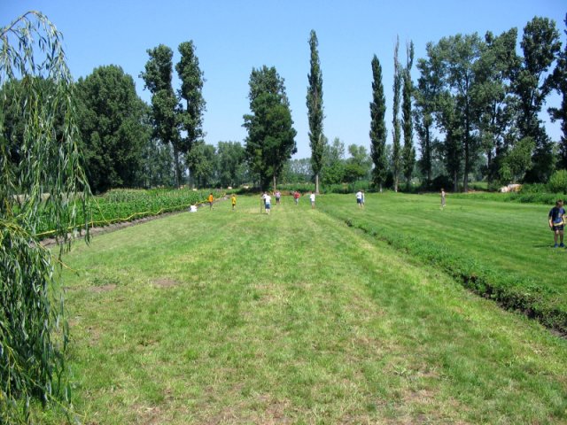 A 4. (2005. évi) tábor