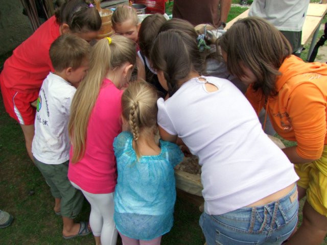 A 11. (2012. évi) tábor