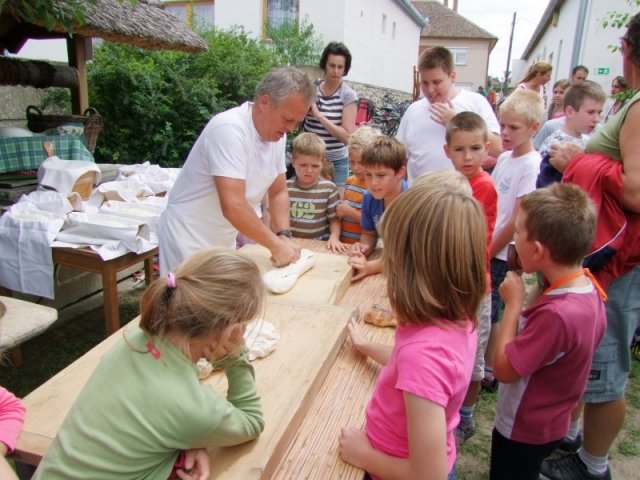 A 11. (2012. évi) tábor