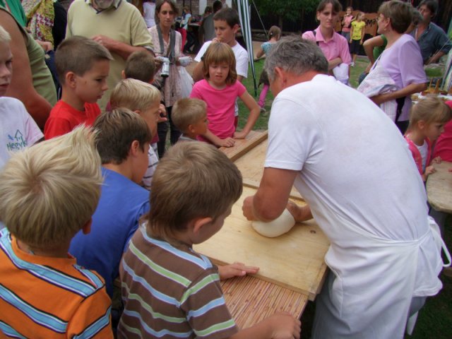 A 11. (2012. évi) tábor