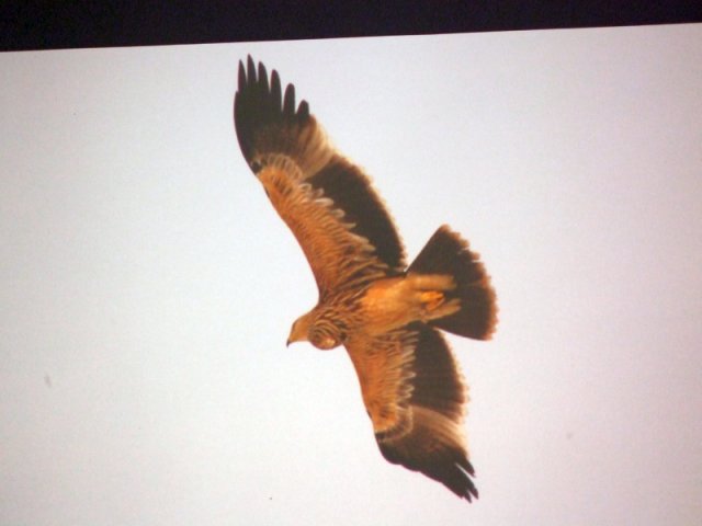 A 11. (2012. évi) tábor