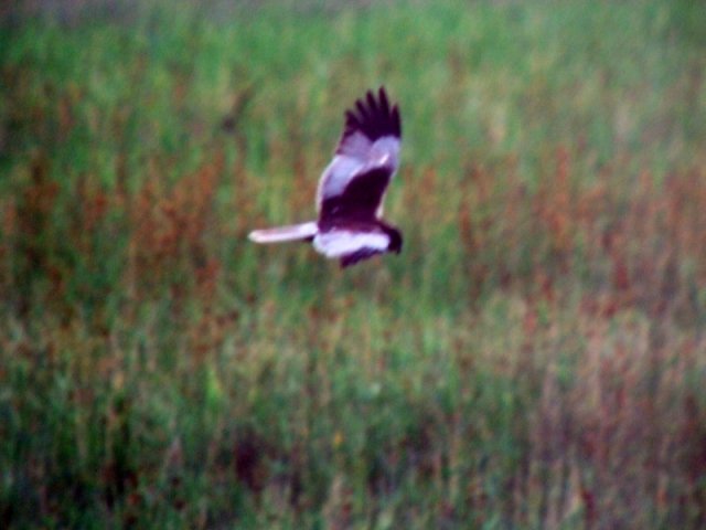 A 11. (2012. évi) tábor