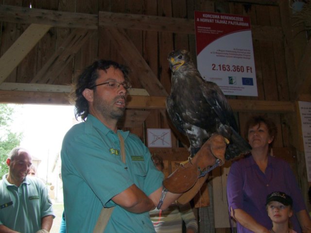 A 11. (2012. évi) tábor