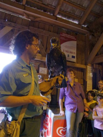 A 11. (2012. évi) tábor