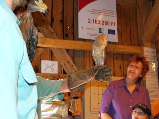 A 11. (2012. évi) tábor