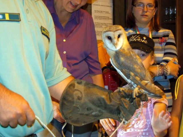 A 11. (2012. évi) tábor