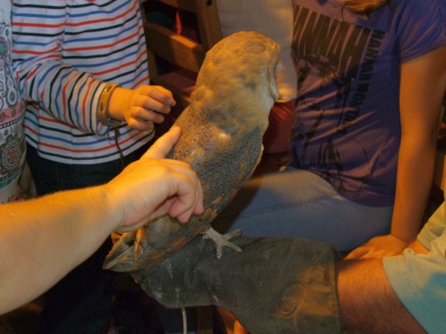 A 11. (2012. évi) tábor