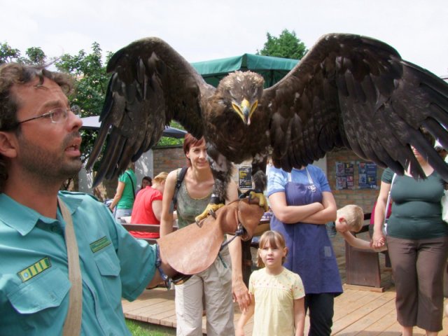 A 11. (2012. évi) tábor