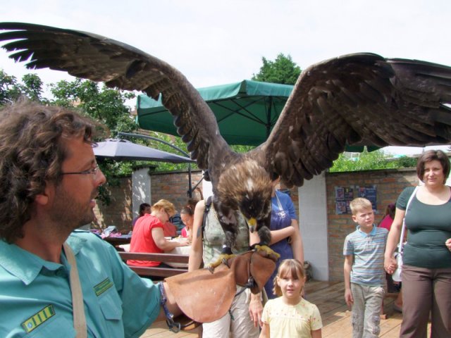 A 11. (2012. évi) tábor