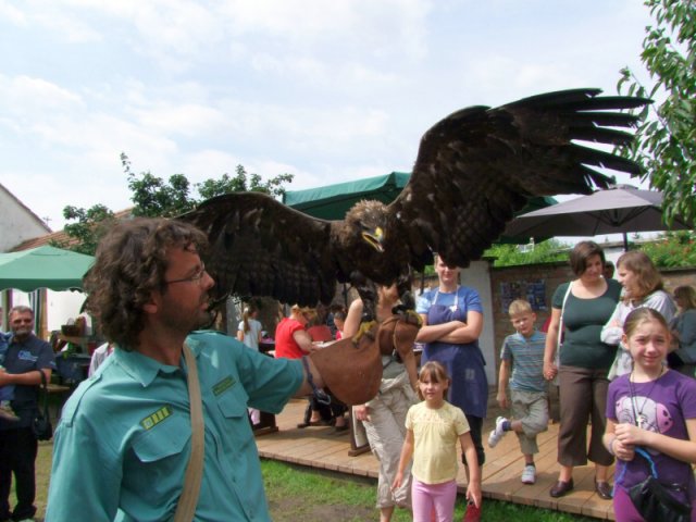 A 11. (2012. évi) tábor