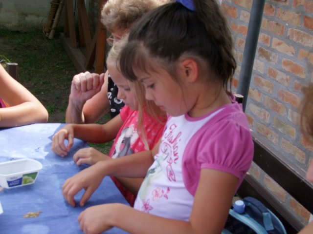 A 12. (2013. évi ) tábor