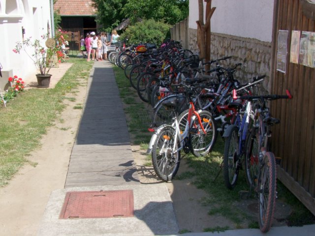 A 12. (2013. évi ) tábor